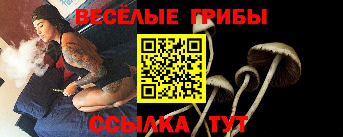 Лесозаводск  Псилоцибиновые грибы Psilocybine cubensis  Вход с VPN 